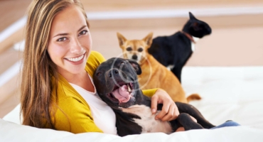 Top 5 Dog Behavior Myths